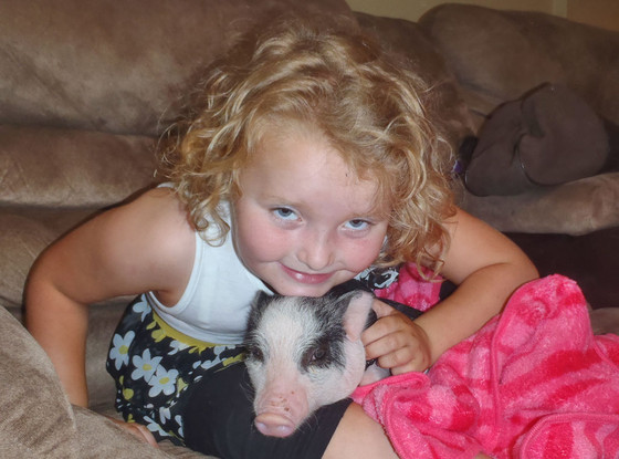Honey Boo Boo, TLC Honey Boo Boo, TLC